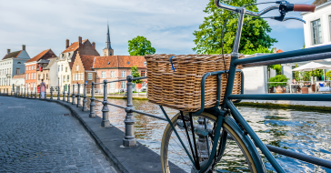 Des tours en bus ou à vélo à Bruges et aux alentours
